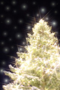 887833ce1461600eb6c5d6d98b2caa9e_s