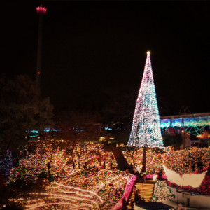 イルミネーション